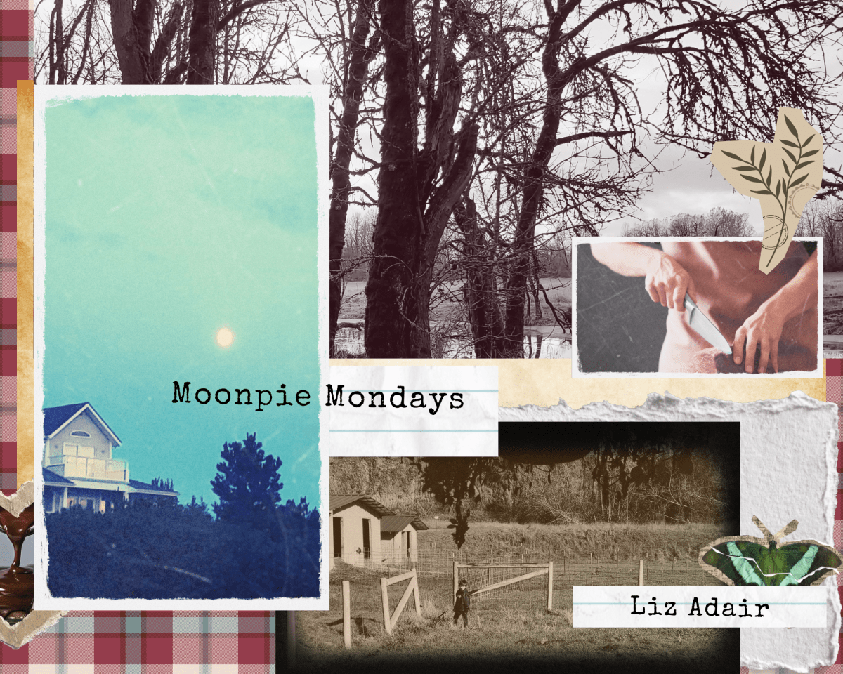 Moon Pie Mondays